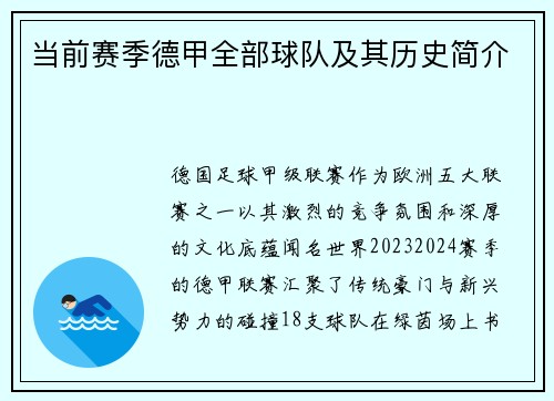 当前赛季德甲全部球队及其历史简介